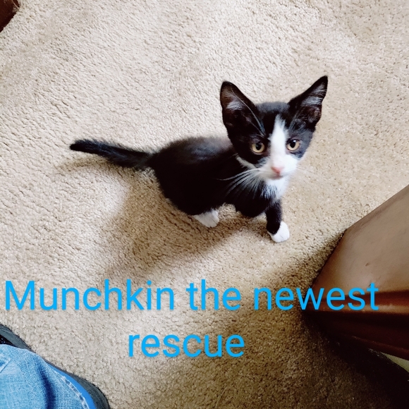 Meet your Posher, Mary - Picture 5 of 5